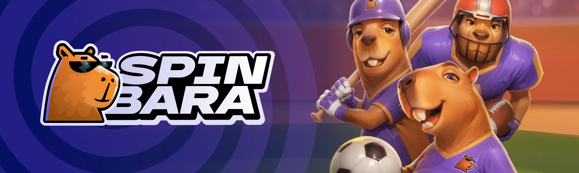 Spinbara login και εγγραφή: στοιχεία πρόσβασης και πεδία λογαριασμού